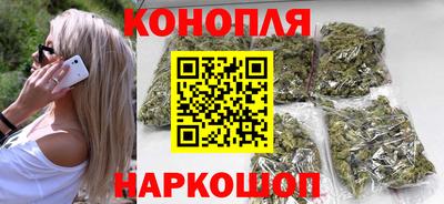 стаф Краснодар