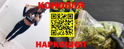 стаф Краснодар
